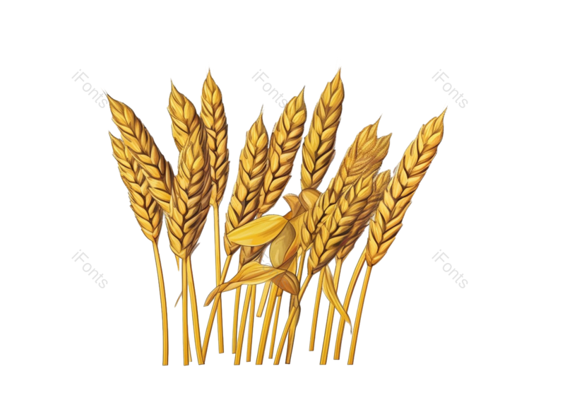 装饰图片,芒种元素,元素PNG,卡通免抠素材